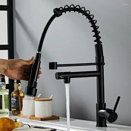 Bathroom Sink Faucets Kitchen Spring Pull Type Faucet All Copper Rotating And Stretching Cold Water Purification Direct Drinking Dual