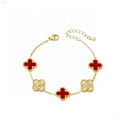 Dr. Jewelry New Stainless Steel 18k Gold Plated Double-face Shell Zircon Four-leaf Clover Bracelet for Valentines Day