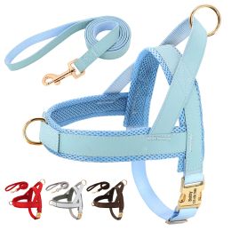 Sets Personalised Dog Harness Leash Set Soft Padded Dogs Vest Harnesses Free Custom Pet ID Buckle Vests With Lead Rope For Dogs Pug