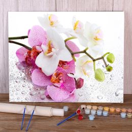 Number Flower Orchid Paint By Numbers Package Oil Paints 50*70 Canvas Painting Decorative Paintings For Kids Handiwork Art