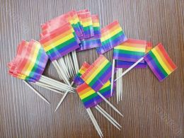 Accessories 500 Packs Small Rainbow Flag Toothpick Flag Lesbian Gay Pride LGBT Flag Banner Colourful Rainbow Flag cocktail sticks picks