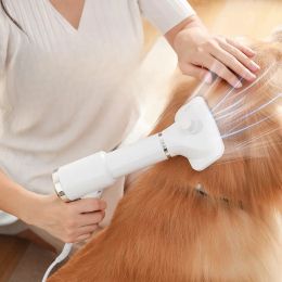 Combs 2In1 Pet Dog Dryer Quiet Dog Hair Dryers and Comb Brush Grooming Kitten Cat Hair Comb Puppy Fur Blower Adjustable Temprature