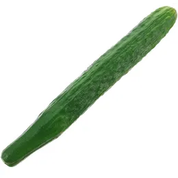 Decorative Flowers Kitchen Cabinet Simulated Vegetable Model Fake Cucumber Dish Decoration Pography Ornament (pu Cucumber) Pvc Artificial