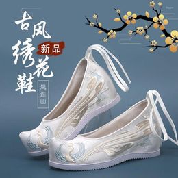 Stage Wear Ancient Chinese Traditional Hanfu Dance Performance Embroidery Canvas Flat Shoes Oriental Women Wedding Old Beijing