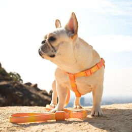 Sets Pets Puppy Accessories French Bulldog Chest Collar Dots Belt Pectoral Breastplate Medium Dog Harness Leash Walks for Pet Dogs