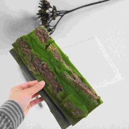 Decor Decor Wall Backdrop Board Terrarium Bearded Background Tile Box Tank Decoration Cork Bark Reptile Aquarium Landscaping Dragon