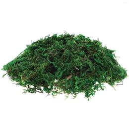 Decorative Flowers Fake Planta Preserved Moss For Crafts Decor Decorate Aftificial Dried Green