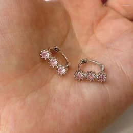 Hoop Earrings Wholesale Fashion Sweet Style Pink Zircon Summer For Women Jewellery Woman Accessories Cool Things Charm Earring Kpop