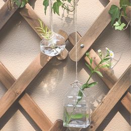 Vases Glass Planters Wall Hanging Air Plants Plant Holder Hydroponics Growing System Vase Terrariums Container