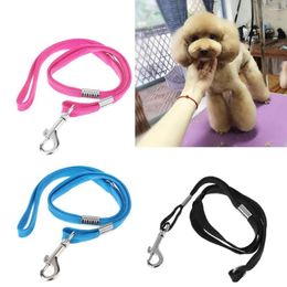 Dog Apparel Pet Leash Nylon Cat Grooming Loop Cable Rope Leashes For Beauty Bathing