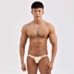 Men's Swimwear Wholesale mens printed swimming trunks breathable triangle swimming trunks brand direct supply distribution swimwear 24327