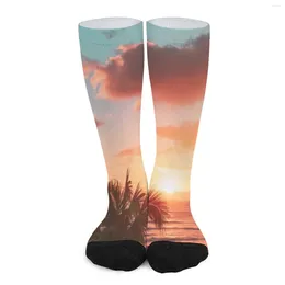 Women Socks Ocean Sunset Palm Tree Print Retro Stockings Couple Medium Soft Cycling Autumn Design Non Slip