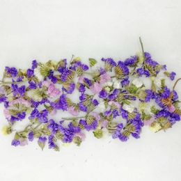 Decorative Flowers Mixed Colors Natural Dried Do Not Forget Me For Home Christmas DIY Garland Wreath Wedding Decoration 10g/bag