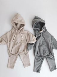 Newborn Baby Clothing Sets Autumn Boys Hooded Sweatshirt Long Sleeve Tops Kids Girls Harem Pants Suit Children Clothes Set4704387