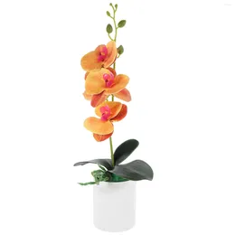 Decorative Flowers Artificial Orchid Potted Ceramic Pot White Faux Phalaenopsis Orchids Real Touch Bonsai Wedding Table Centrepiece Plastic