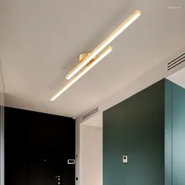Ceiling Lights Long Strip LED Light Aisle Entrance Balcony Cloakroom Corridor Macaron Net Red Nordic Simple And Modern