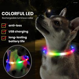 Dog Collars Rechargeable LED Night Glowing Pet Collar Usb Safety Flashing Accessories