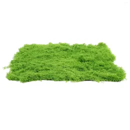 Decorative Flowers Fake Lawn Artificial Moss Micro Scene Outdoor Decor Plant Pearl Cotton Mini Garden