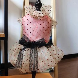 Dog Apparel Handmade Clothes Pet Dress Cat Unique Original Outwear Daily Lady Style Cute 2 Colours Champagne Dot Organza Skirt