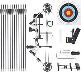 Bow Arrow Archery Compound Bow Set With Carbon Arrows 20-70lbs Adjustable Pulley Bow 340FPS Arrow Speed For Outdoor Hunting Shooting yq240327