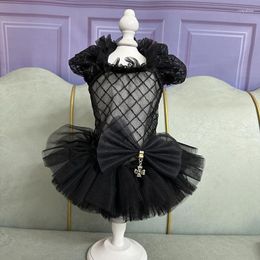 Dog Apparel Summer Sexy Black Lace Dresses For Small Medium Fashion Fine Handmade Pet Clothes 2024 Puppy Chihuahua Outfits Dress