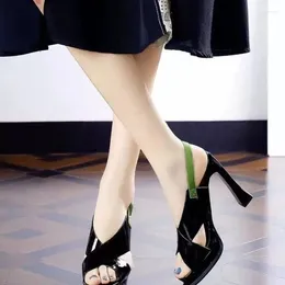 Dress Shoes Women's Peep Toe T-strap High Heels Chunky Heel Back Zipper Sandals Fashion Black