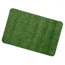 Decorative Flowers Lawn Mats Green Rug Foot Welcome Doormat Fake Grass Turf Plastic Artificial Front