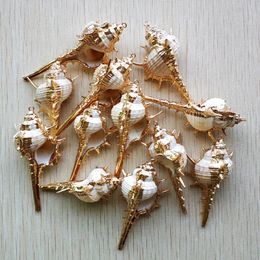 Wholesale 12pcs/lot Natural Gold Colour side Conch Shells For DIY Pendant Beige Seashell Craft Handmade Jewellery Accessories free 240311