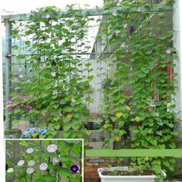 NEW 2024 Nylon Mesh Horticulture Plant Crawl Net Loofah Morning Glory Cucumber Vine Grow Holder Crawl Farm Gardening Network- for Loofah Morning Glory Cucumber Vine