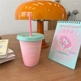 Mugs Cute Straw Cup Kawaii Reusable Coffee Plastic Cold Cups for Water Juice Milk Tea BPA Free Drinking Bottle Drinkware S s