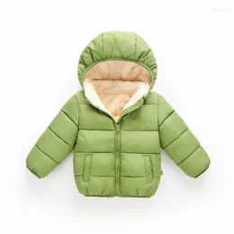 Down Coat Boy Cotton-padded Middle And Small Childrens Padded Hooded Jacket Child Winter With Velvet Warmth