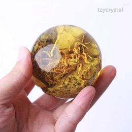 Decorative Figurines Resin Amber Scorpion Specimen Insect Stone Diy Ball Home Decoration Display Crafts