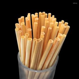 Disposable Cups Straws 100 Fashionable Straw Eco-friendly Natural Wheat Portable Party And Bar Accessories