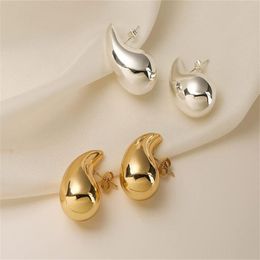 High grade water drop earrings for women with metallic texture and cool style niche and versatile earrings AB14