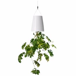 Planters Creative Hanging Inverted Sky Plant Flower Pot Automatic Watering Hanging Upside Down Plastic Small Flowerpot for Family Garden