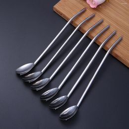 Spoons Stainless Steel Oval Shape Metal Drinking Spoon Straw Mixing Bar Reusable Straws Cocktail Set(Primary Color)