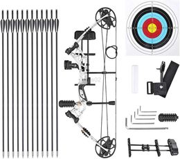 Bow Arrow Archery Compound Bow Set 31 Carbon Arrow 20-70lbs Adjustable Pulley Bow 340FPS Arrow Speed For Outdoor Hunting Shooting yq240327