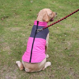 Warm Fleece Dog Coats Small Dogs, D-rings Zipper Waterproof Puppy Jacket for Cold Winter