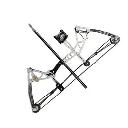 Bow Arrow 12lbs Mini Compound Bow Set Archery Miniature Bow and Arrow Indoor Leisure Decompression Pulley Bow Stainless Steel Shooting yq240327