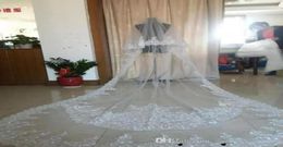Selling Luxury Real Image Wedding Veils Three Metres Long Veils Lace Applique Crystals Two Layers Cathedral Length Cheap Brida4907768
