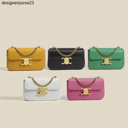 Designers bag Ce bag Triumphal Arch Bag mini bag Shoulder Girl Designer Totes Bag Ce Designers bag Ce bag Triumphal Arch Bag shoulder bag chain CLAUDES Crossbody B ZX6Y