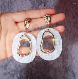Dangle Earrings Personality Exaggerated Feminine Long Pendant Joker Simple Geometric Ring Earrings.gift