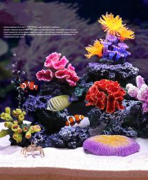 Decorations Fish tank landscape coral reef natural escape decoration shell aquarium scenery ornaments sea tank reef fish tank decoration