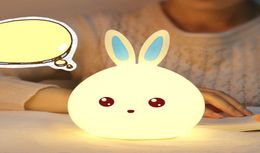 Cute Rabbit Silicone Night Light Colourful Discoloration Blue Pink Touch Dimming USB Cartoon Children Birthday Gift Sleep Light3208858