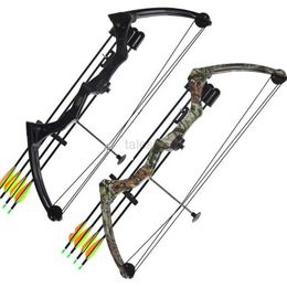 Bow Arrow 20 Pound Children Compound Bow Set High-Strength Aluminium Right Hand Archery for Competition Practise Outdoor Shooting yq240327