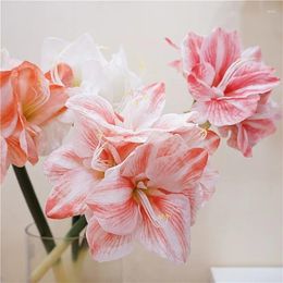 Decorative Flowers High Quality Simulated Moisturising Clivia Artificial Plants Easter Decoration Living Room Display Natural Preserved