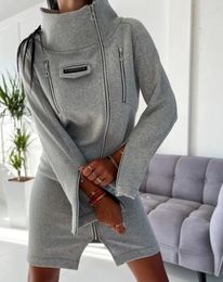 Casual Dresses Autumn And Winter Women's Sweatshirt Dress Fashion High Neck Zipper Design Long Sleeved Straight Tube