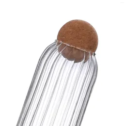 Storage Bottles Clear Glass Bottle Jars With Cork Lid Decorative Canister Organizer