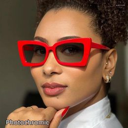 Sunglasses Retro Personality Rectangular Glasses Frame Woman Man Brand Designer Fashion Square Eyeglasses TR90 Eyewear