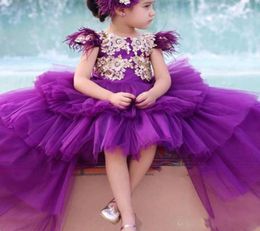 Charming Purple Tulle Flower Girl Dresses with Jewel Appliqued Feather Golden Applique Cap Sleeve LovelyTiered HighLow Birthday G1758358